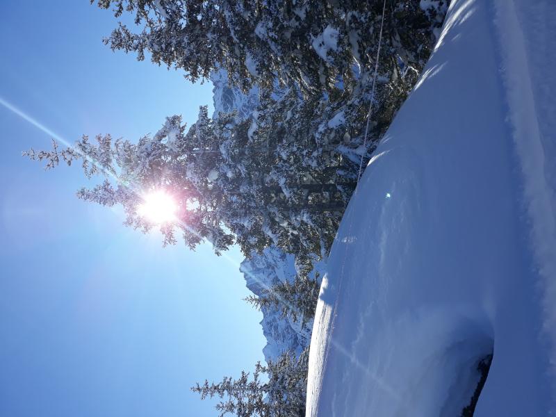 20191226_123448.jpg